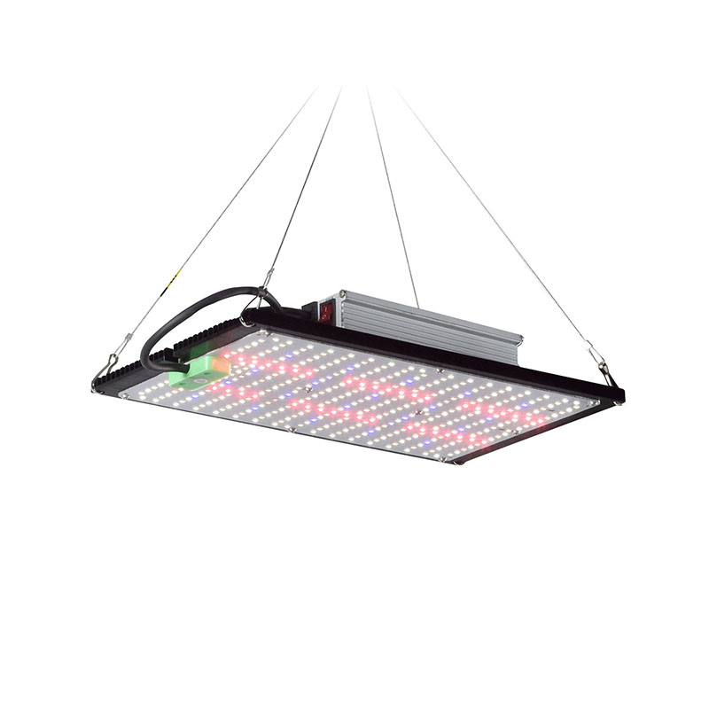 Lampe de culture LED Quantum-B - Plant Grow Light Full Spectrum avis et prix