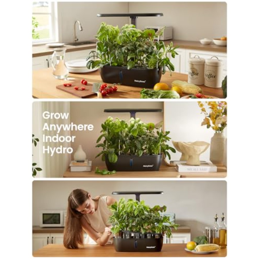 Kits de culture hydroponique M - Smart Garden Kit avis et prix