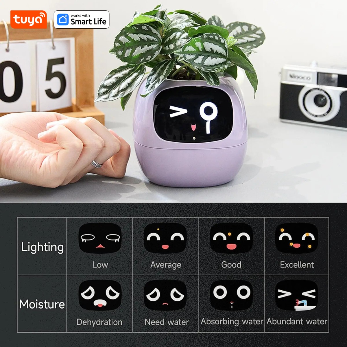 Tuya Ivy-Communautés teur inte - Smart Pot avis et prix