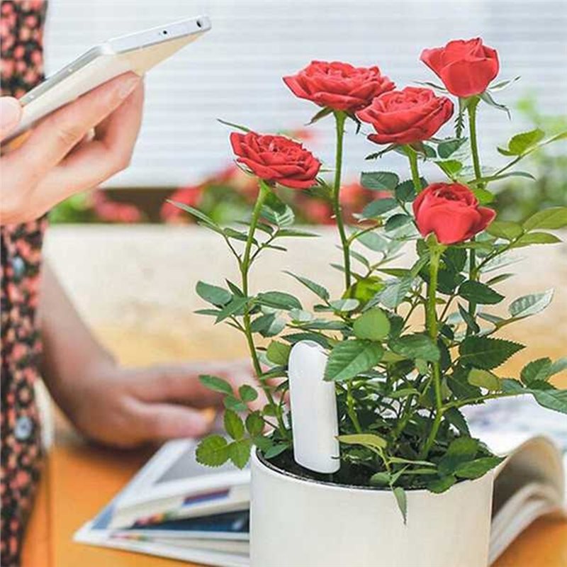 ABVG-Flora Moniteur intelligen - Plant Sensor avis et prix