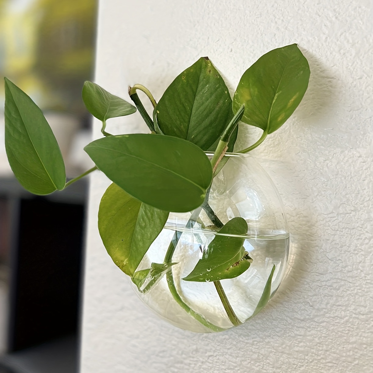 Vase de pot de fleur en verre  - Hydroponic Grow Pod avis et prix