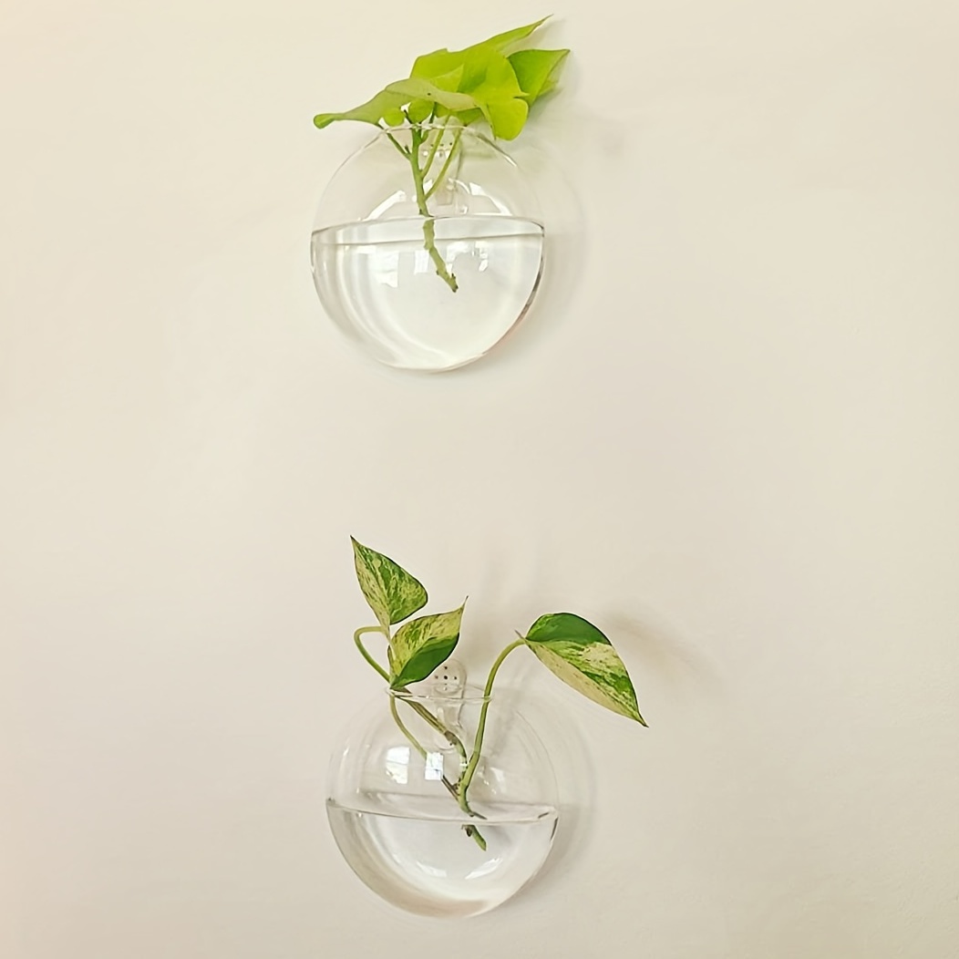 Vase de pot de fleur en verre  - Hydroponic Grow Pod avis et prix
