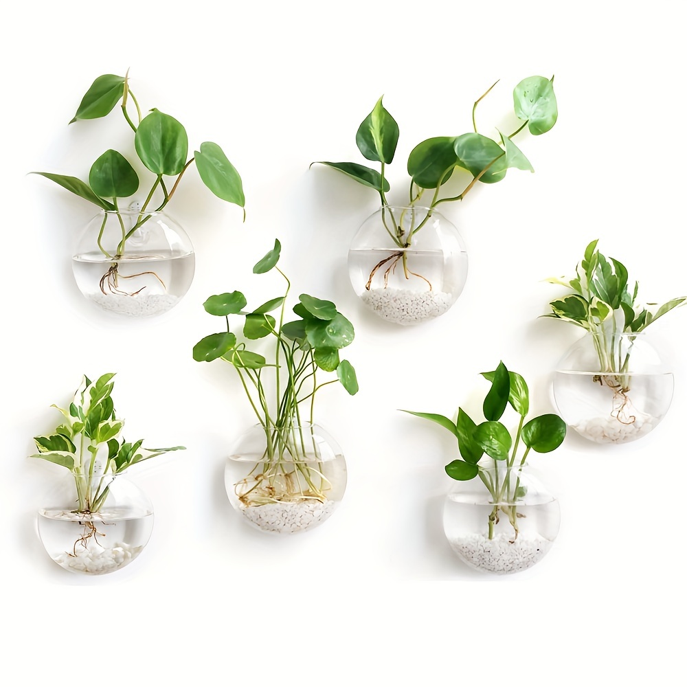 Vase de pot de fleur en verre  - Hydroponic Grow Pod avis et prix