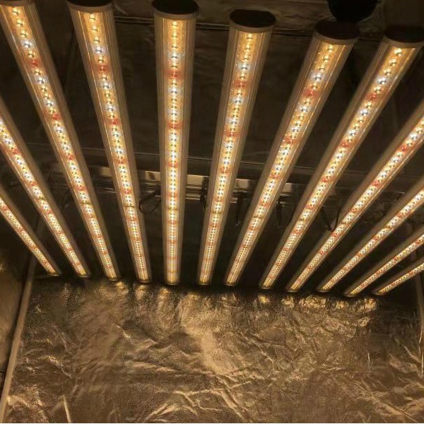 LUX Usine chinoise d'éclairage - Plant Grow Light Full Spectrum avis et prix