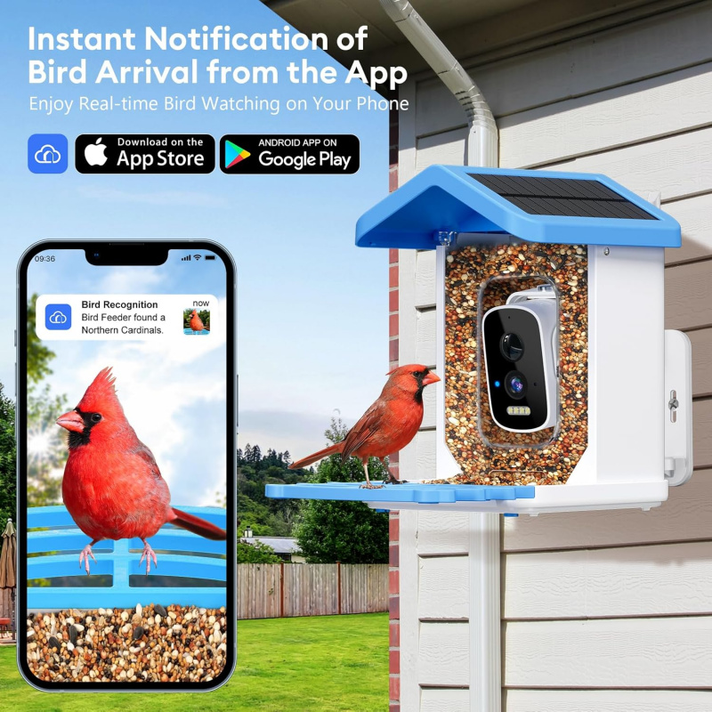 Mangeoire à oiseaux intelligen - Garden Camera avis et prix