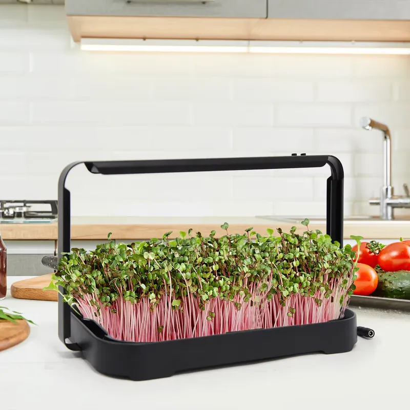 Bac hydroponique pour micro-lé - Smart Garden Kit avis et prix