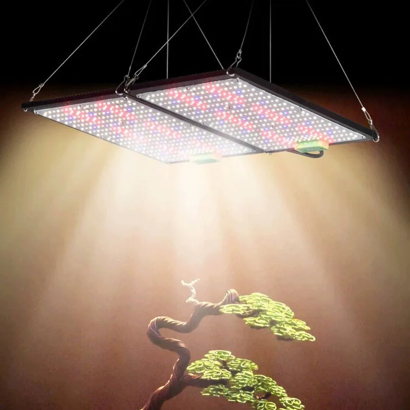 Lampe de culture LED Quantum-B - Plant Grow Light Full Spectrum avis et prix