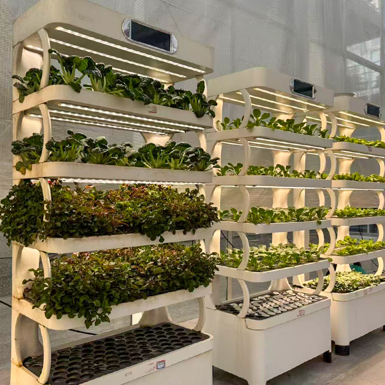 Jardinière Intelligente d'Inté - Grow Light Led avis et prix