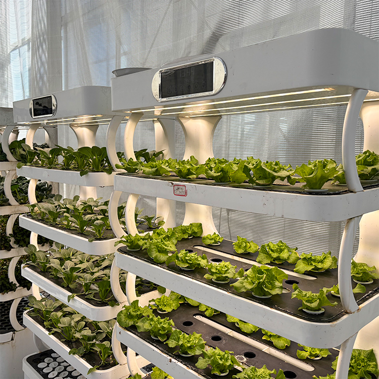 Jardinière Intelligente d'Inté - Grow Light Led avis et prix