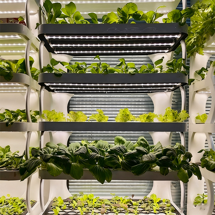 Jardinière Intelligente d'Inté - Grow Light Led avis et prix